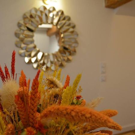 Charmant Appartement - Proche Chateau Cite カルカソンヌ エクステリア 写真