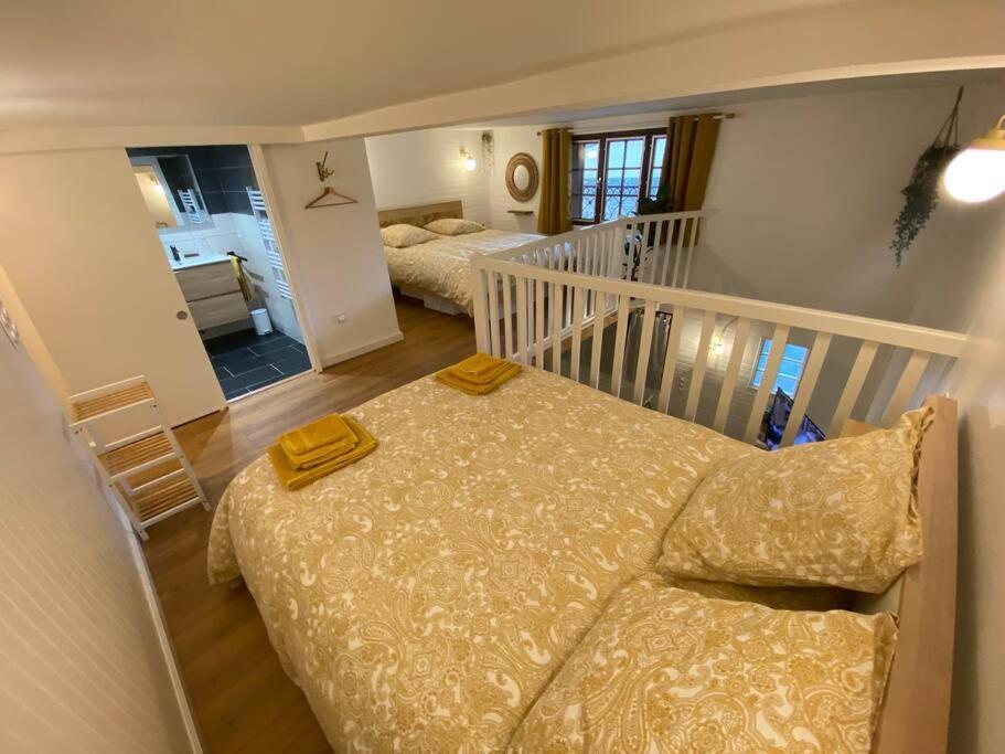 Charmant Appartement - Proche Chateau Cite カルカソンヌ エクステリア 写真