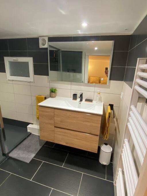 Charmant Appartement - Proche Chateau Cite カルカソンヌ エクステリア 写真