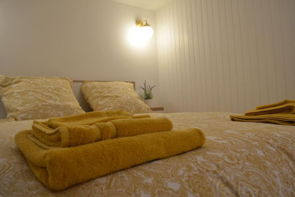 Charmant Appartement - Proche Chateau Cite カルカソンヌ エクステリア 写真